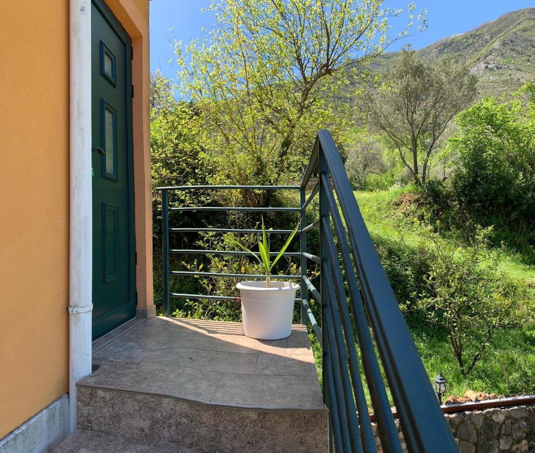 Apartman Barbara Kotor Exterior photo